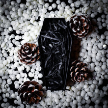 Load image into Gallery viewer, Toasted Marshmallow Wax Melts